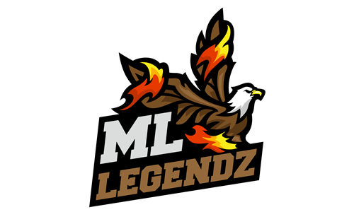 2023 AAU Team Logo (11U and 17U)