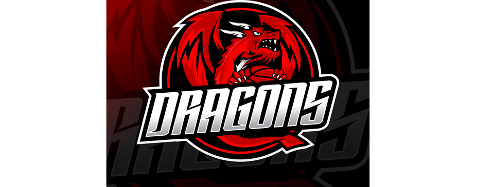 2023 Adult Team #1 Logo