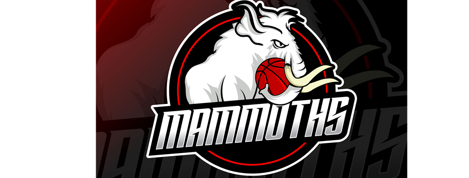 2023 Adult Team #6 Logo